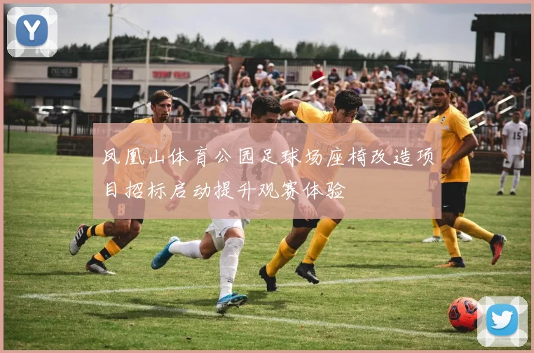 凤凰山体育公园足球场座椅改造项目招标启动提升观赛体验